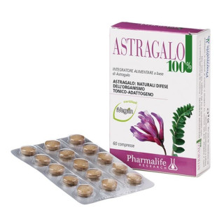 Astragalus 100% tabletten - ondersteunt de natuurlijke afweer van het lichaam