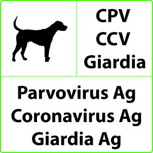 Veterinaria