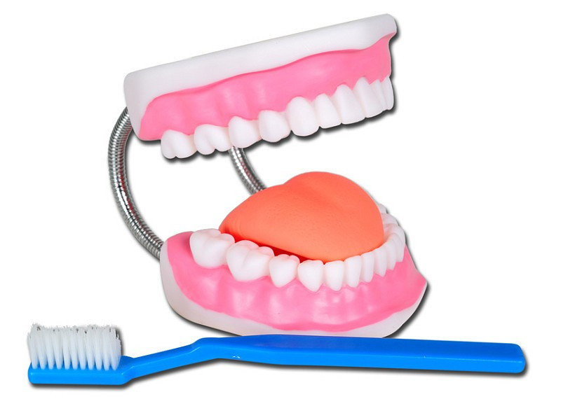 Modelli Dentali
