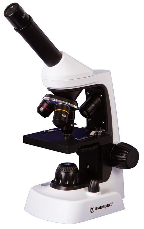 Microscopi
